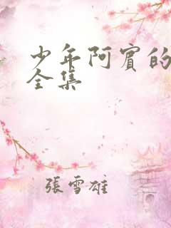 少年阿宾的故事全集