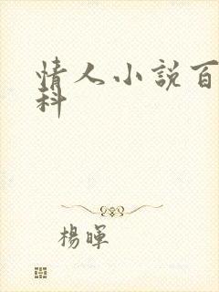 情人小说百度百科