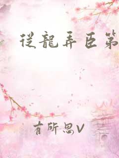 从龙弄臣第一次