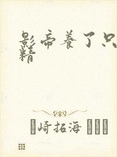 影帝养了只玫瑰精