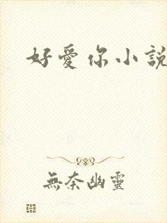 好爱你小说