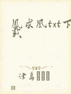 凤求凰txt下载