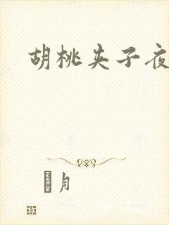 胡桃夹子夜未眠