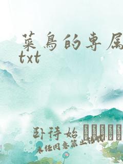 菜鸟的专属大神txt