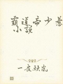 霸道帝少惹不得 小说