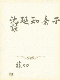 沈延知秦子卿小说