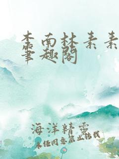 李南林素素小说笔趣阁