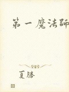 第一魔法师