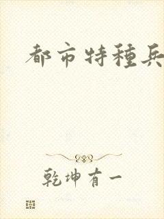 都市特种兵任天