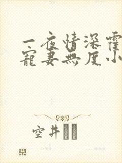 一夜情深霍先生宠妻无度小说免费阅读