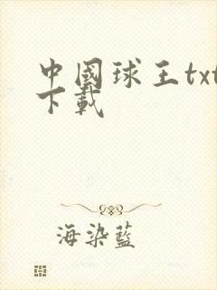 中国球王txt下载