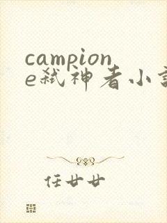 campione弑神者小说