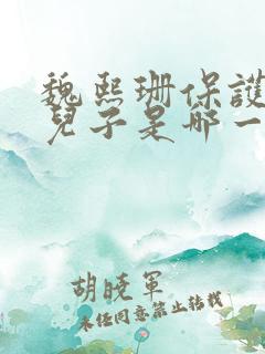 魏熙珊保护萧峥儿子是哪一集