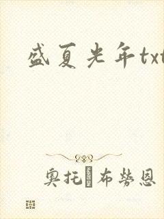 盛夏光年txt