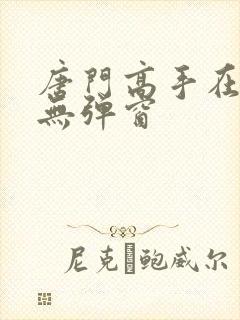 唐门高手在异世无弹窗