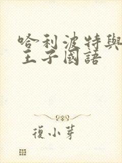 哈利波特与混血王子国语