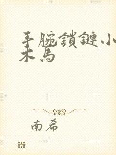 手腕锁链小黑屋木马