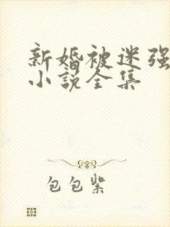新婚被迷强系列小说全集