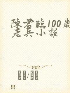 陈君临100岁老兵小说