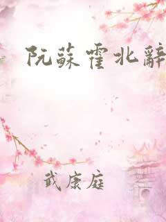 阮苏霍北辞小说