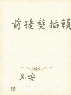 前后双插头互攻