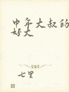 中年大叔的包包好大