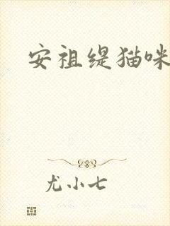 安祖缇猫咪抱抱