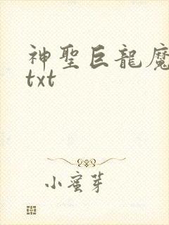 神圣巨龙魔法师txt
