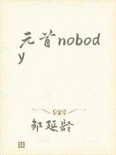 元首nobody