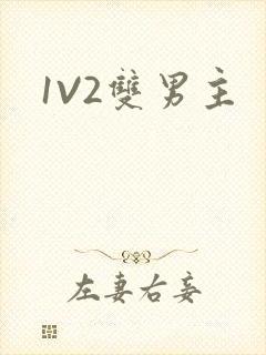 1V2双男主