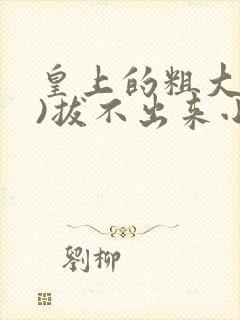 皇上的粗大(h)拔不出来小说