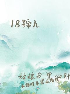 18号h