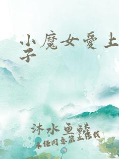 小魔女爱上皇太子