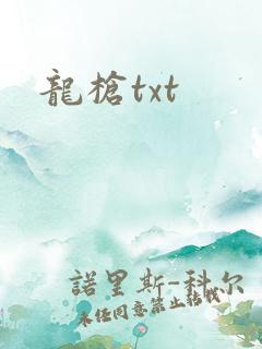 龙枪txt