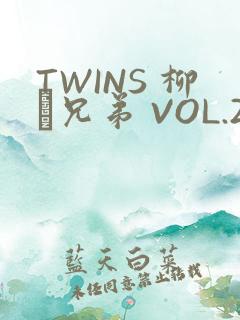 TWINS 柳澤兄弟 VOL.2