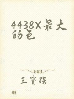 4438X最大的色