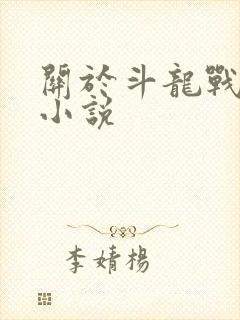 关于斗龙战士的小说