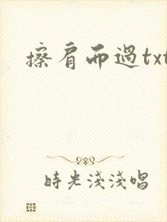 擦肩而过txt