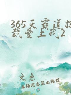 365天霸道总裁爱上我2
