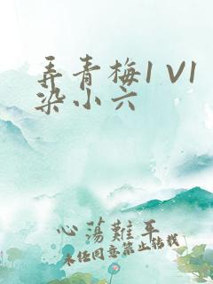 弄青梅1 V1染小六