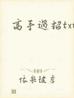 高手过招txt