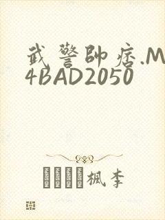 武警帅痞.MP4BAD2050