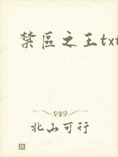 禁区之王txt