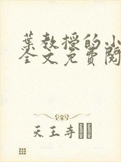 叶教授的小黏糖全文免费阅读