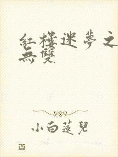 红楼迷梦之国士无双