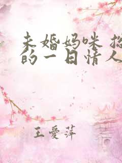 未婚妈咪 总裁的一日情人