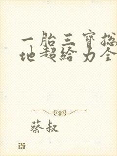 一胎三宝总裁爹地超给力全文免费阅读