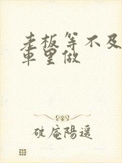 老板等不及了在车里做