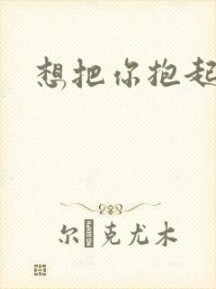 想把你抱起来撞