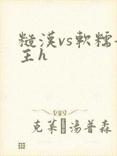 糙汉vs软糯女主h